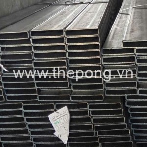 Thép hộp 20x100