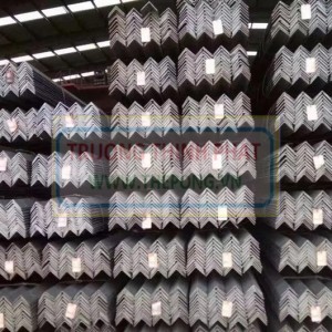 Thép V : V20, V25, V30, V40, V50, V60, V63, V70, V75, V80, V90, V100...V250